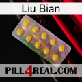 Liu Bian new11